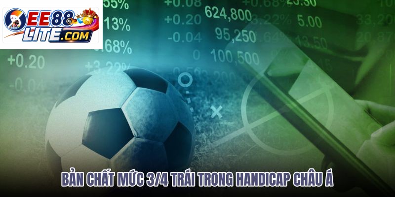 ban-chat-muc-34-trai-trong-handicap-chau-a