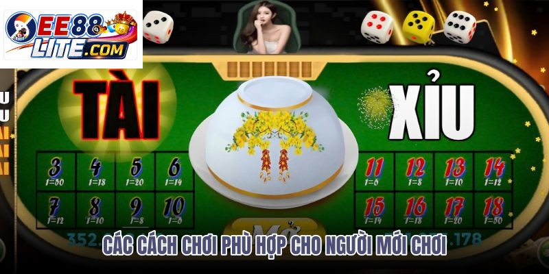 cac-cach-choi-phu-hop-cho-nguoi-moi-choi