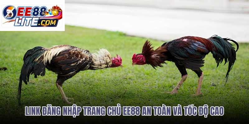 link-dang-nhap-trang-chu-ee88-an-toan-va-toc-do-cao